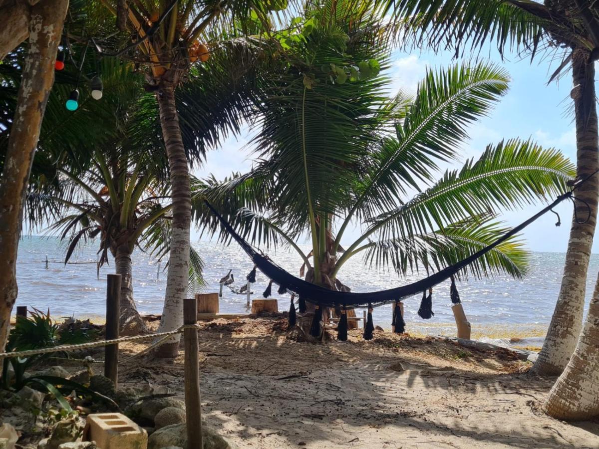 Hotel Maya Luna Adults Only Mahahual Exterior photo