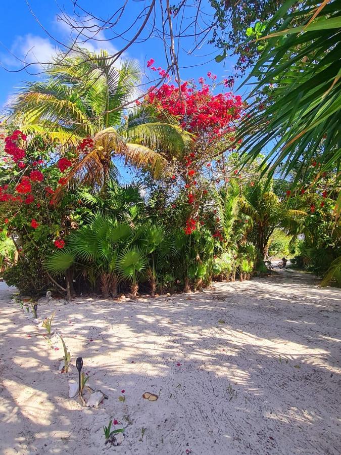 Hotel Maya Luna Adults Only Mahahual Exterior photo