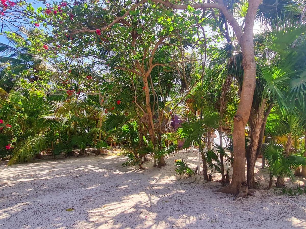 Hotel Maya Luna Adults Only Mahahual Exterior photo