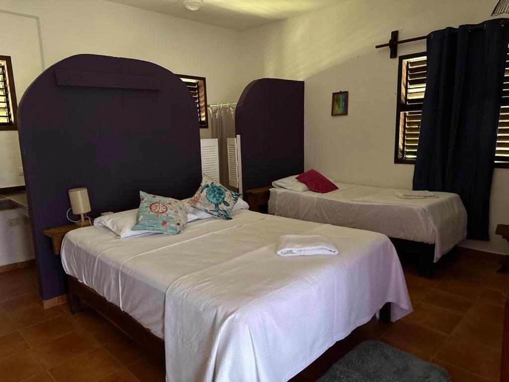 Hotel Maya Luna Adults Only Mahahual Exterior photo