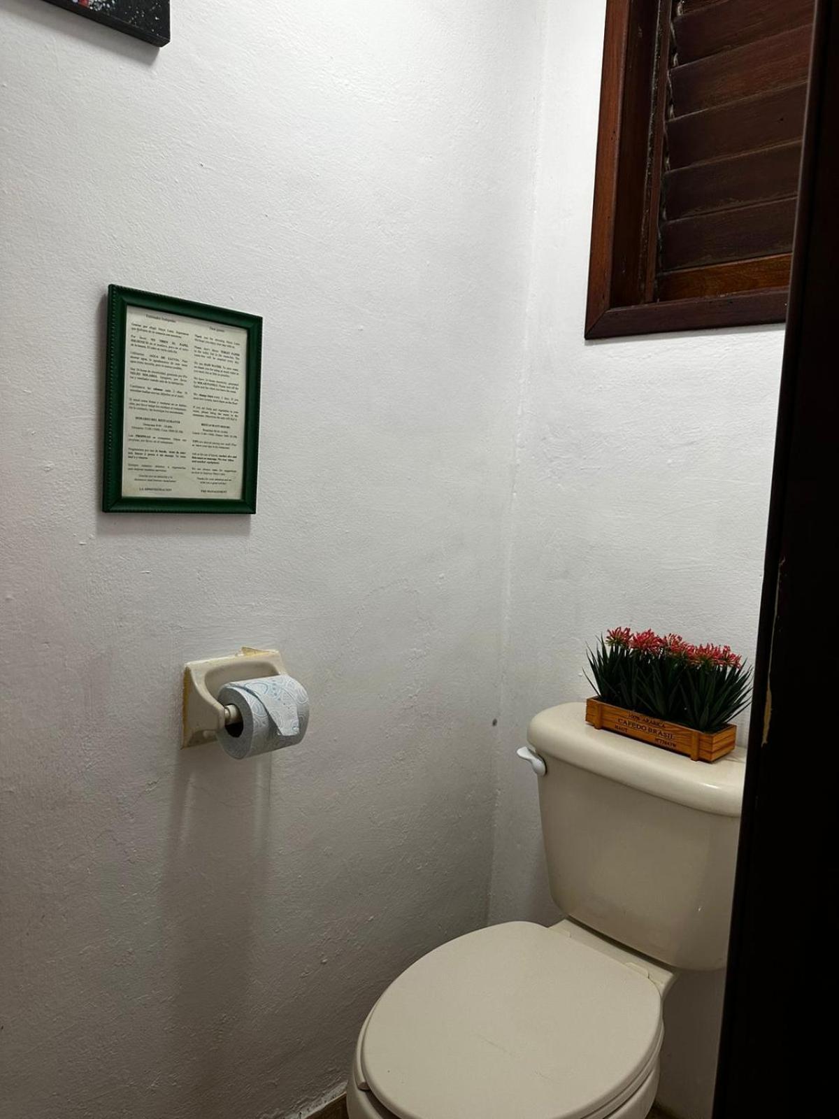 Hotel Maya Luna Adults Only Mahahual Exterior photo